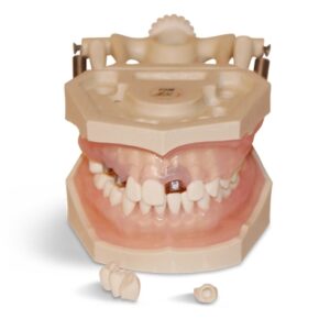 مدل های تمرینی